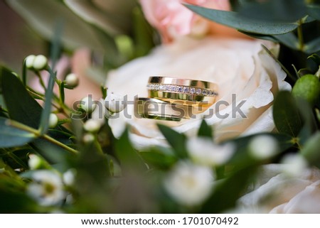 Macro picture of the two white and red gold wedding rings with diamonds around, placed on the cream color rose, green leaves on the background
