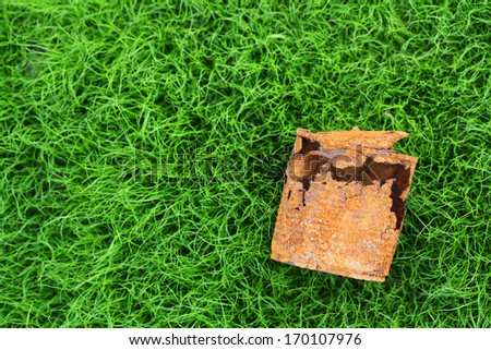 rusty can on young grass.