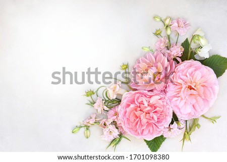 Delicate blossoming roses frame, blooming flowers festive background, pastel and soft bouquet floral card, toned	