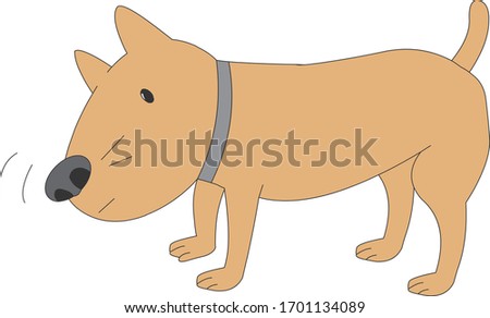 An illustration of a dog smelling and finding out what it is.