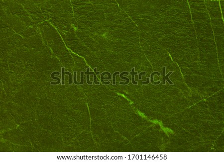 green texture background backdrop for graphic design