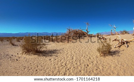 Mesquite flat sand dunes in Death Valley National Park - USA 2017