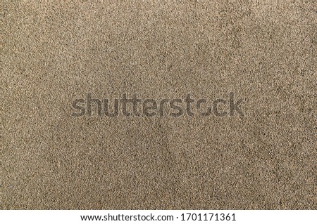A closeup shot of a brown concrete wall