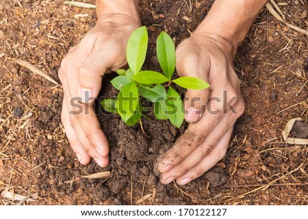 Man hands planting a small plant concept of ecology Royalty-Free Stock Photo #170122127