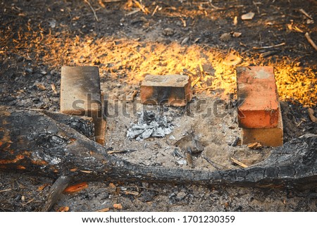 Wood ash closeup after burning wood. Extinguished bonfire.lies charred piece of wood