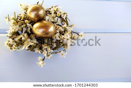 two golden eggs in a nest of flowers with branches on a blue background.Easter composition. 