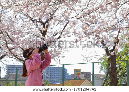 Girl taking photo of cherry blossom