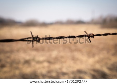 Old, rusty barbed wire. Boundary, barrier and prohibition. Farm fencing, animal husbandry