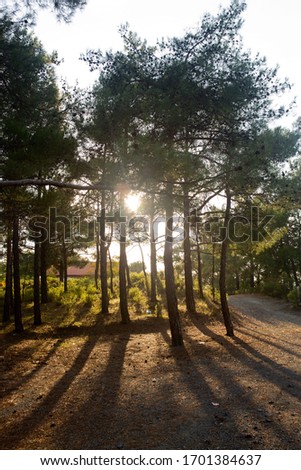 Beautiful landscapes at Troodos mountain
