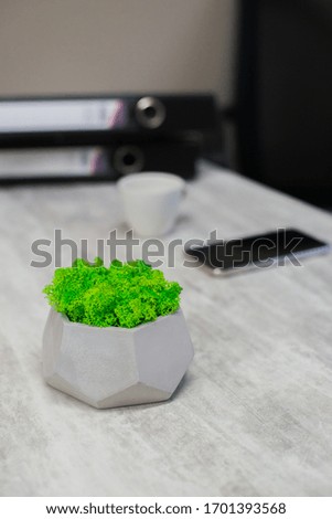 
succulents on the desktop in the office on the background of a mountain of folders with  documents and 
mobile phone. green sprout on the desktop in the office on the background of a mountain of fold