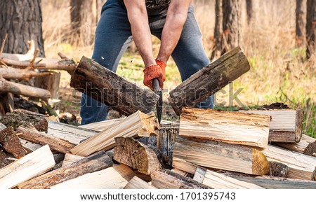 Strong guy in orange work gloves chopping the wood - a log has been cutting down and saw dust is still in the air