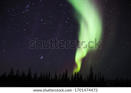 Northern lights over boreal forest
