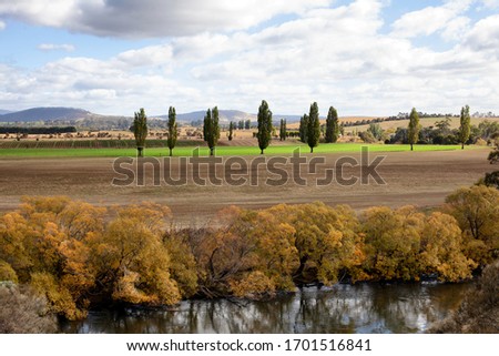 Rural landscape along the river Derwent in the Derwent Valley near Hobart, Tasmania Royalty-Free Stock Photo #1701516841