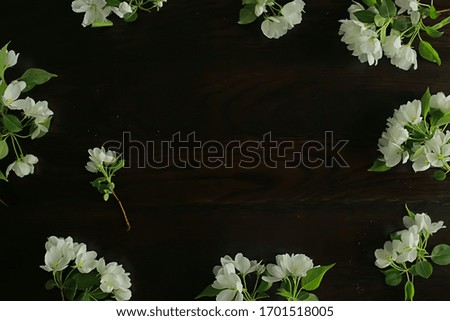 abstract apple tree flowers background, spring blurred background, branches with bloom