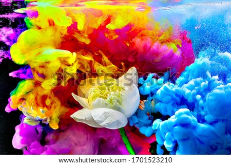 Colorful watercolor drops in the water with white lotus flowers