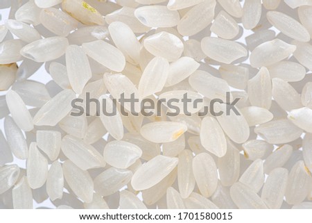 round grain peeled seeds on a white background top view