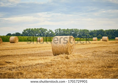 Summer farm scenery with haystack on the background of beautiful sky in field as agriculture concept.
