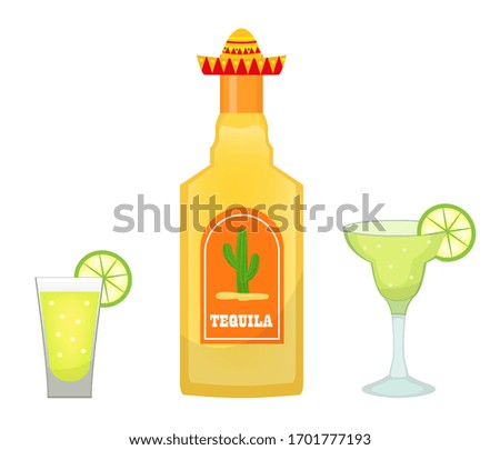 Tequila bottle with glasses and pieces of lime icon flat, cartoon style isolated on white background. illustration, clip art. Traditional Mexican drink.