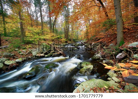 Flowing streams at the peak of fall colors with motion blurr using long exposures. 