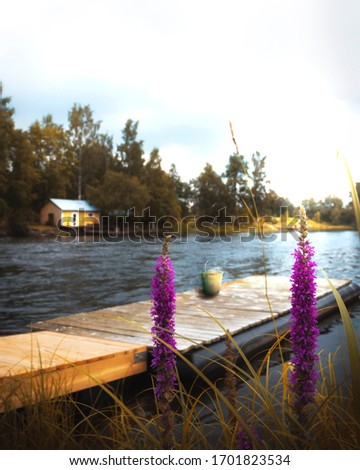 Relaxing lake in Finland with violet flowers