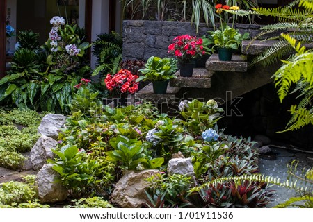 beautiful patio garden with colorful blooming flowers