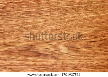 Texture surface of a cut of a natural tree, background, blank or substrate for design Royalty-Free Stock Photo #1701937531