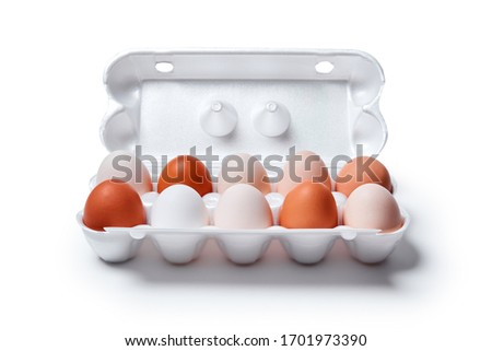nine white eggs and one brown are packed together in one egg crate, isolated on a white background