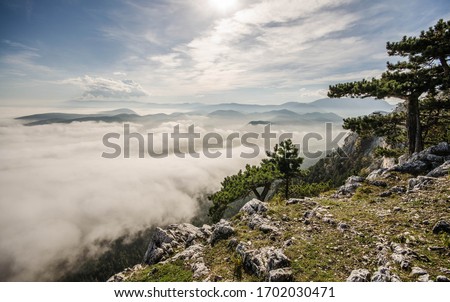 Above the clouds with mist fog inversion over the forest view from a stone cliff edge in austria Royalty-Free Stock Photo #1702030471