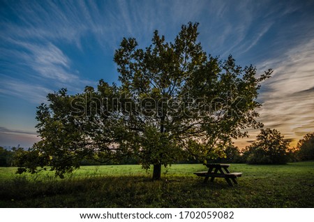 Lonely single european oak tree stand alone with a park bench in austria vienna on the bisamberg hill with colorful sky durig sunset sundown with striped sky Royalty-Free Stock Photo #1702059082