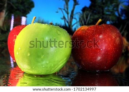 Apples: A ripe green apple stands out from two red apples in a macro image with water drops, a bright background and a reflection.