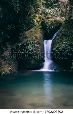 Beautiful forest waterfall in Taiwan