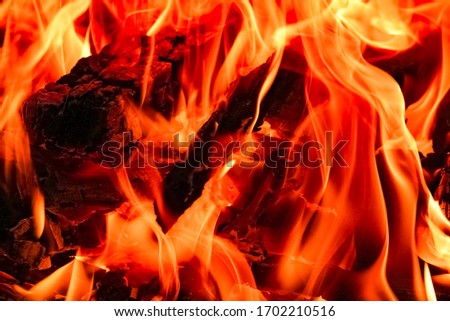 Fire with coals and fire on nature picnic background. Burns out a bonfire for food on the street