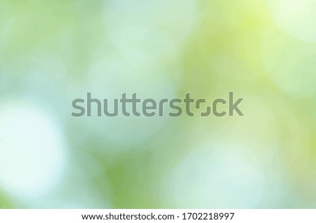 Green bokeh light background blur