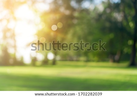 Blur nature bokeh green park by beach and tropical coconut trees in sunset time. Royalty-Free Stock Photo #1702282039