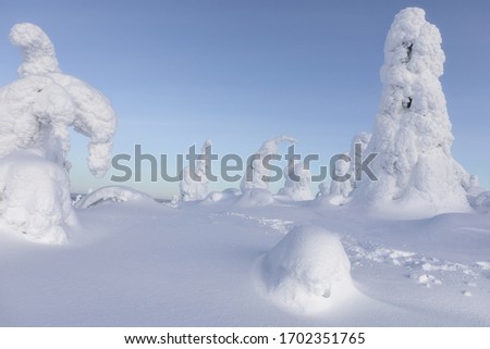 winter in Lapland, kingdom of snow