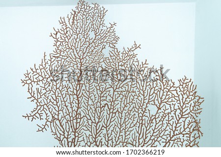 the aquarium stuff of tree shape red coral in white background ,close up picture