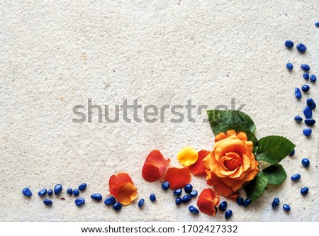 Flat shot, top view of a flower arrangement of a yellow-red rosebud lying on white sand. Corner frame with a flower, rose petals and blue stones on a white background.                            