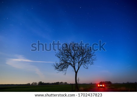 beautiful dark blue sky with a lot of stars at Easter morning (April 12, 2020, ca. 04.30 a. m.) with silhouette of a leafless tree in the district Wesermarsch (Germany), a car is passing by