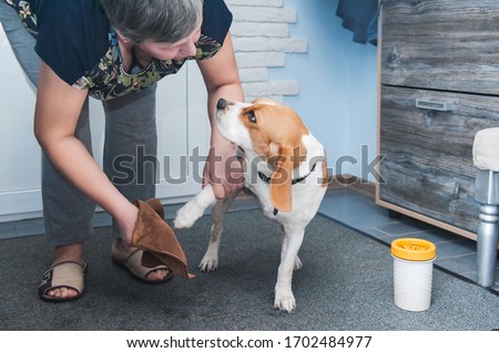 the owner of the dog washes her dirty paws after walking in a special device for washing paws and rags Royalty-Free Stock Photo #1702484977