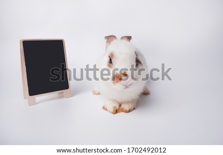 An adorable brown bunny or rabbit wearing an eyesglasses, sitting next to small blackboard, isolated on white background. Cute rabbit and welcome sign. A concept for commercial advertising, business.