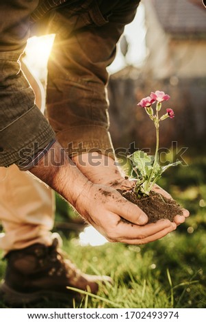 Vertical picture of guy holding tiny flower that grows up from ground or soil. Stand outside during beautiful sunny weather