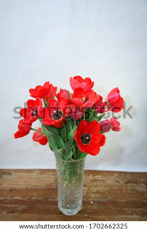 Red tulips in a glass vase.
