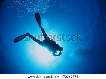 Diver silhouette under water with beautiful sun ray, Hawaii. 