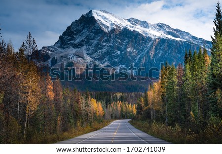 Morning on the road to Jasper, Alberta, Canada during fall season with trees changing colors Royalty-Free Stock Photo #1702741039