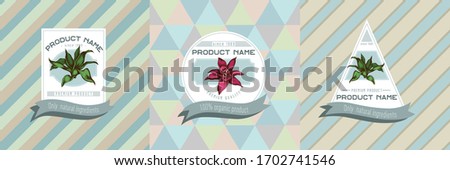 Three colored labels with illustration of guzmania Royalty-Free Stock Photo #1702741546
