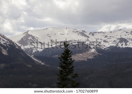 The Colorado mountain snowy covered peaks summer 2019