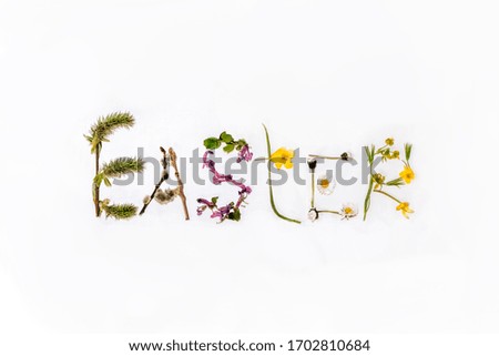 
inscription Easter with the letters lined with colorful spring flowers and leaf willow leaves