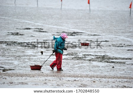 Korean woman working in a mud flat. Royalty-Free Stock Photo #1702848550