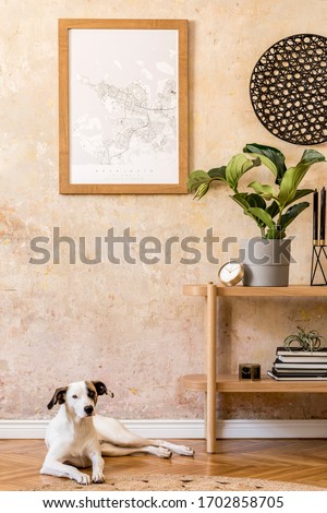 Interior design of living room with stylish, wooden console, books, plant, clock, decoration, grunge wall, elegant accessories in modern home decor and beautiful dog lying on the floor.