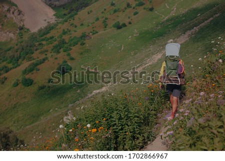 Father and little child in the child carrier on his back hiking on the picturesque mountain trail in the summer mountains in the sunny day, back view